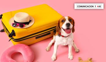 Semana Santa con tu mascota: cinco claves para un viaje seguro