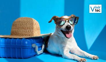 Semana Santa con tu mascota: cinco claves para un viaje seguro