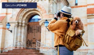 Semana Santa con tu mascota: cinco claves para un viaje seguro