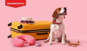 Semana Santa con tu mascota: cinco claves para un viaje seguro