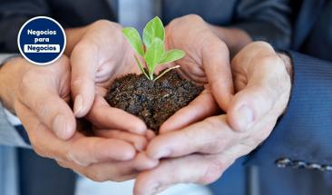 El rol empresarial en la lucha contra el cambio clim&aacute;tico