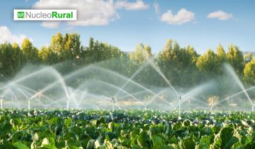 Crean en M&eacute;xico agua s&oacute;lida para el riego en la agricultura