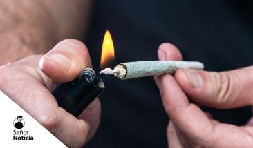 Alemania legaliza el cannabis recreativo en medio de pol&eacute;micas