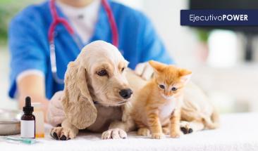Parvovirus y distemper: aprende a prevenirlas en tu mascota