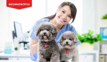 Parvovirus y distemper: aprende a prevenirlas en tu mascota