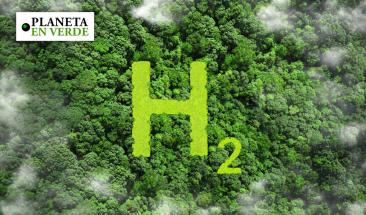 Revoluci&oacute;n verde: algas y bacterias transforman la energ&iacute;a