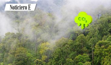 Per&uacute;: Serfor inicia curso para incentivar proyectos destinados a reducir emisiones de carbono producido por la deforestaci&oacute;n