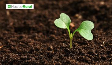 Soluci&oacute;n sustentable para aumentar el rendimiento agroindustrial