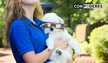 Eclipse solar total y el impacto en la vida animal