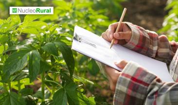 El rol fundamental de las mujeres en la agricultura sostenible