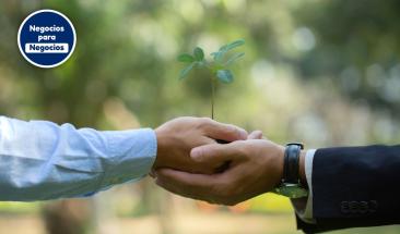 La importancia de contar con una estrategia de sostenibilidad empresarial