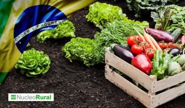 La agricultura impulsa la recuperaci&oacute;n econ&oacute;mica en Brasil