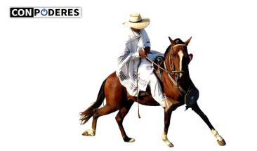 LXXVII Concurso Nacional del Caballo Peruano de Paso: resaltando la gracia y majestuosidad de una herencia ancestral