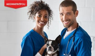 D&iacute;a Mundial del Veterinario: cinco consejos para elegir al mejor especialista para tu mascota