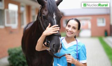 D&iacute;a Mundial del Veterinario: cinco consejos para elegir al mejor especialista para tu mascota