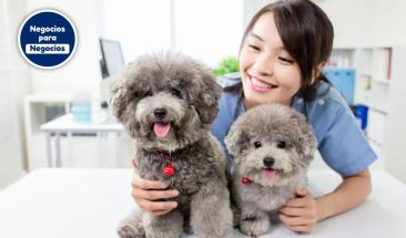 D&iacute;a Mundial del Veterinario: cinco consejos para elegir al mejor especialista para tu mascota