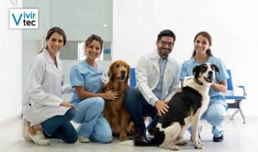 D&iacute;a Mundial del Veterinario: cinco consejos para elegir al mejor especialista para tu mascota