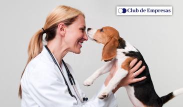 D&iacute;a Mundial del Veterinario: cinco consejos para elegir al mejor especialista para tu mascota