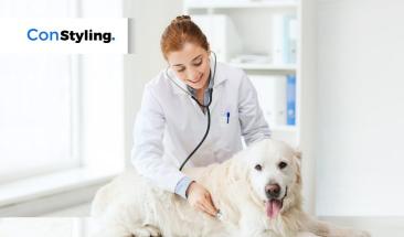 D&iacute;a Mundial del Veterinario: cinco consejos para elegir al mejor especialista para tu mascota