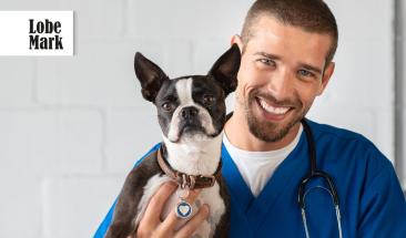 D&iacute;a Mundial del Veterinario: cinco consejos para elegir al mejor especialista para tu mascota