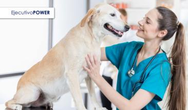 D&iacute;a Mundial del Veterinario: cinco consejos para elegir al mejor especialista para tu mascota