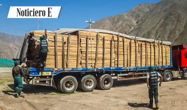 Serfor inmoviliza 53.33 m3 de madera tras descubrir que no proced&iacute;a de la plantaci&oacute;n forestal declarada