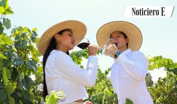 Moquegua: XVI Festival de la Vendimia 2024 celebra la tradici&oacute;n vitivin&iacute;cola