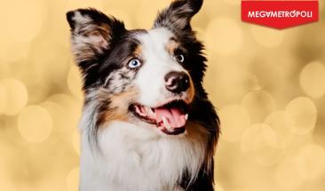 Messi en la gran pantalla: un show canino en el Festival de Cine de Cannes