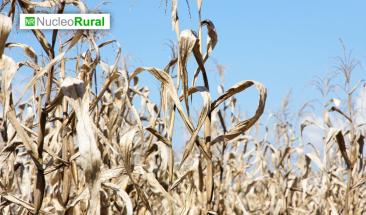 Fen&oacute;meno La Ni&ntilde;a provocar&aacute; sequ&iacute;as y lluvias en distintas regiones de M&eacute;xico