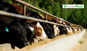 OMS insta a ganaderos a reforzar protecci&oacute;n ante brotes de gripe aviar