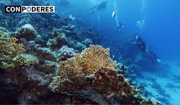 Microorganismos antiguos revelan posible extinci&oacute;n oce&aacute;nica