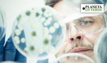 Desarrollan textil cultivado a base de bacterias