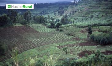 La agricultura intensiva ha degradado 40% de las tierras agr&iacute;colas en el mundo