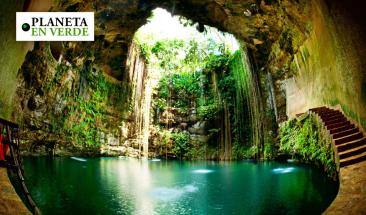 La construcci&oacute;n del tren Maya amenaza la naturaleza de M&eacute;xico