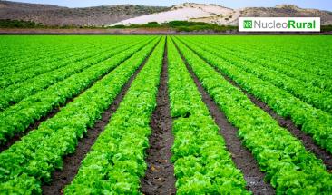 Estos son los pa&iacute;ses con la mayor producci&oacute;n agr&iacute;cola en el mundo