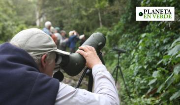 Global Big Day: explorando la riqueza aviar del Per&uacute;