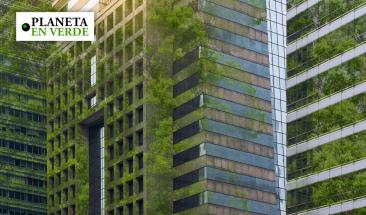 Arquitectura que est&aacute; combatiendo el calentamiento global