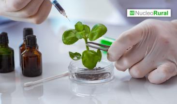 El impacto de la Biotecnolog&iacute;a en la agricultura