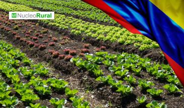 Cauca recibir&aacute; inversi&oacute;n de 13 MDD para el desarrollo rural