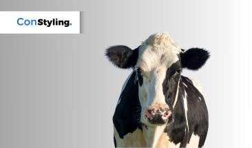 Tres consejos para mejorar la trazabilidad alimentaria en la industria ganadera