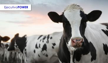 Tres consejos para mejorar la trazabilidad alimentaria en la industria ganadera