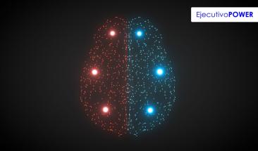 Google y Harvard presentan un atlas tridimensional del cerebro humano: un viaje al interior de la mente