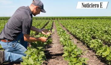 M&eacute;xico: preservando la biodiversidad a trav&eacute;s de la transformaci&oacute;n del sector agroalimentario