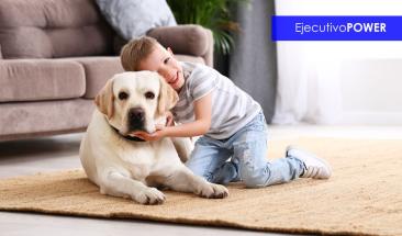 Lo que debes saber antes de adoptar un perro