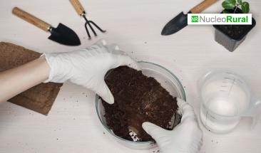 Empresa argentina crea sustratos inteligentes &ldquo;a medida&rdquo;