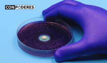 La contenci&oacute;n de resistencia antimicrobiana es una responsabilidad de todos