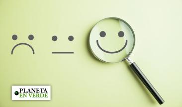 Customer centric: cinco claves para implementar esta estrategia y potenciar un e commerce