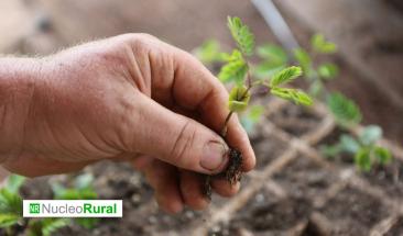 Agroecolog&iacute;a: clave para el cuidado medioambiental en la agricultura