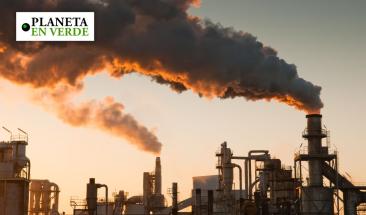 &iquest;Es la compensaci&oacute;n de carbono una verdadera soluci&oacute;n a la contaminaci&oacute;n de las empresas?