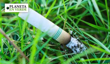El reciclaje de colillas puede transformar la contaminaci&oacute;n en soluciones sostenibles